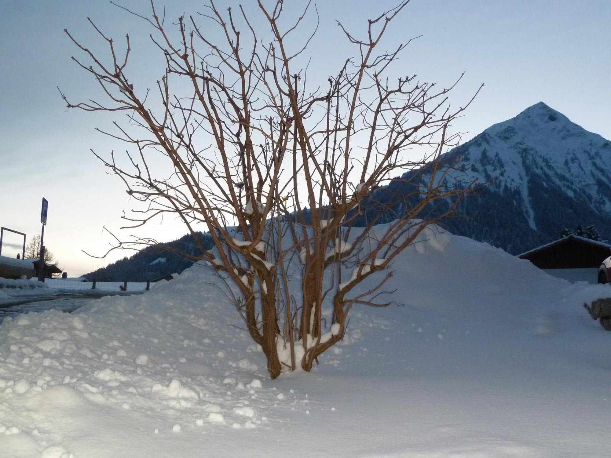 Hotel Restaurant Sunnmatt Aeschi Bei Spiez Exteriör bild