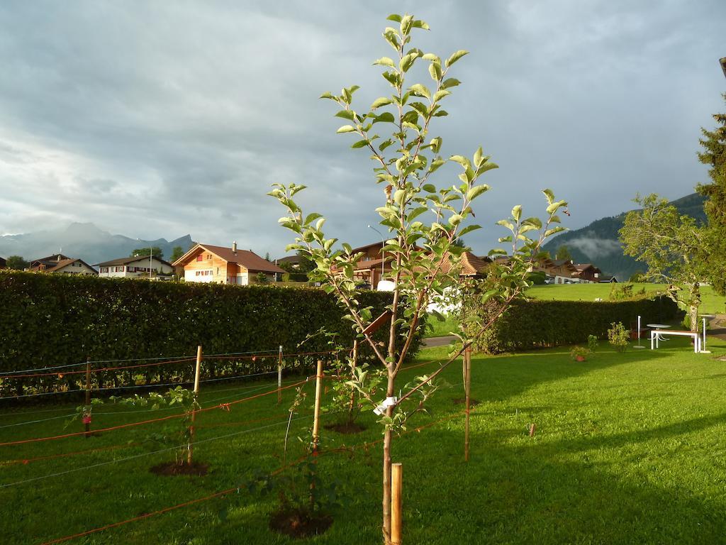 Hotel Restaurant Sunnmatt Aeschi Bei Spiez Exteriör bild