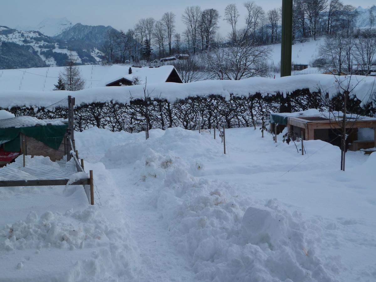 Hotel Restaurant Sunnmatt Aeschi Bei Spiez Exteriör bild